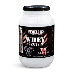 Level Up 1 Fitness Whey Protein (Chocolate)